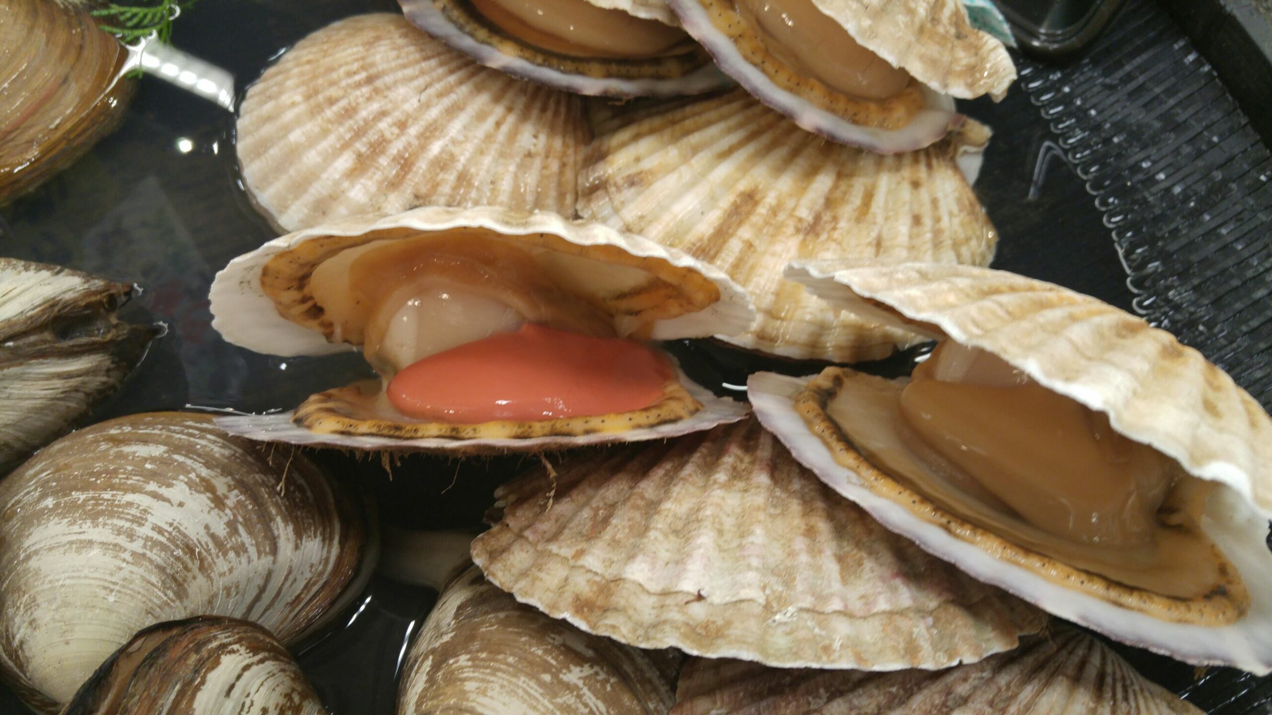 Shellfish Types, Nutrition, Benefits, and Dangers